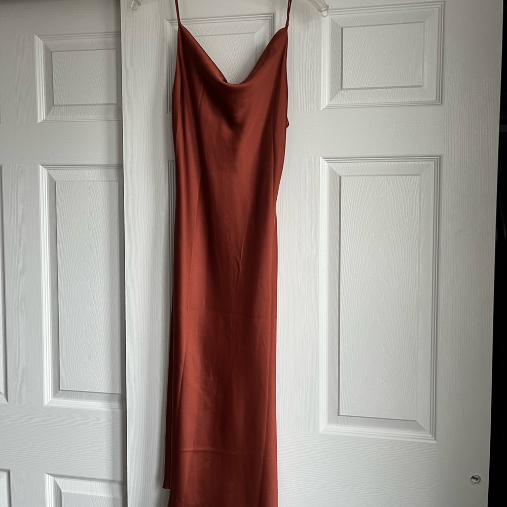 Petal & Pup Rust Midi Dress - Picture 3 of 3